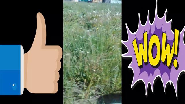 Я В ГЛАЖЕВО РЫБАЛКА смотреть онлайн