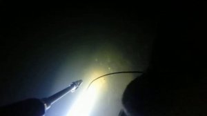 Как плавают раки ? ! Смотрите ! Рак который не хотел ловиться ). 23.09.2018г. (ВИДЕО: Шахов А. В.)