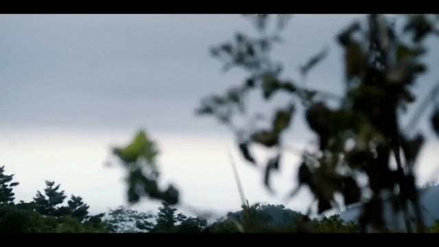 ADVENTURE IN THE MIDDLE OF JAVA смотреть онлайн