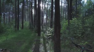 Слава Богу за всё!!!?