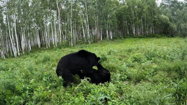 Буржуй разошёлся.