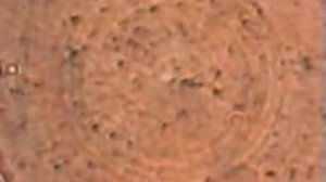 Броуновское движение. Опыт по физике