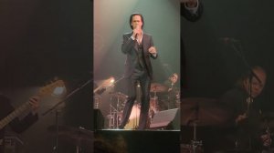 Nick Cave - Bright Horses