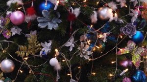 Песня - хоровод, танец у ёлки, старшая группа, декабрь 2021г.