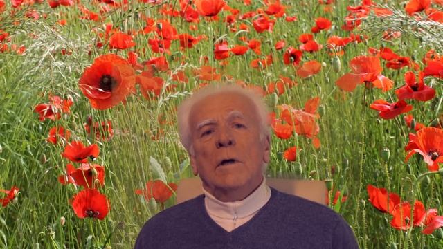 Impfungen Harmonisieren смотреть онлайн