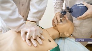 Они без работы точно не останутся