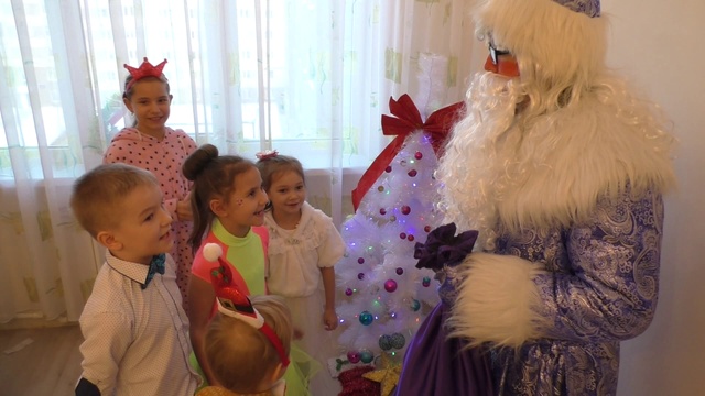 Дед Мороз и Снегурочка - пудель и свинка))) 23.12.2018 смотреть онлайн