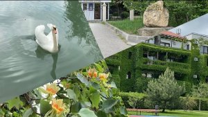 КВАРТАЛ ПАРКОВЫЙ/СОЧИ ПАРК ЮЖНЫЕ КУЛЬТУРЫ
#паркСочи #Адлер #парк #Южные культуры #сочипаркотель