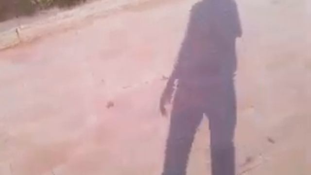 Гироскутор.