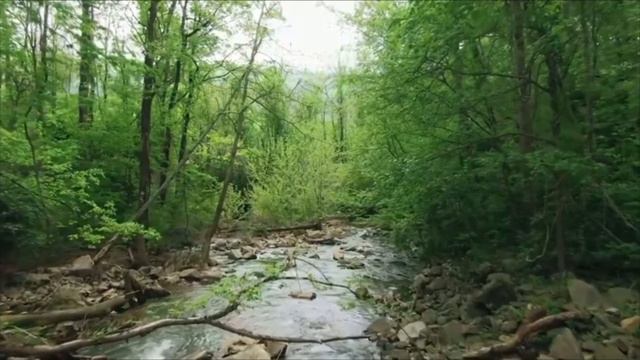 calm Indian music, music douce, relaxing music, موسيقى هادئة, Musique смотреть онлайн