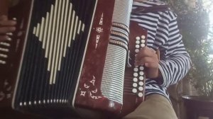 маленькой ёлочки на гармони по цифрам