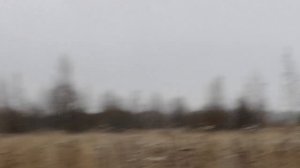 5 тетеревов без ружья, легко!