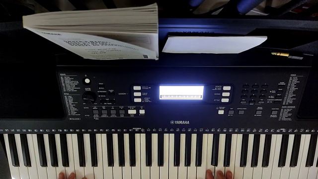 Geylang Si Paku Geylang On Yamaha PSR-E373 смотреть онлайн