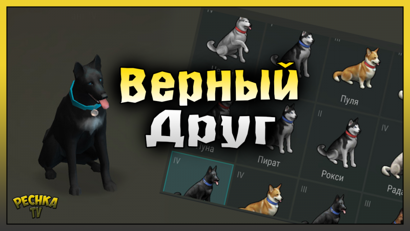 Верный Друг в Ласт Дей #shorts