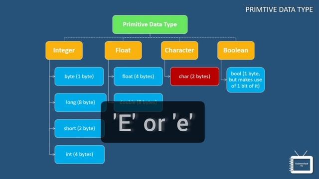 Data Type in Java | Primitive Data Type  with Practical Examples | Java Tutorial | TechnonTechTV