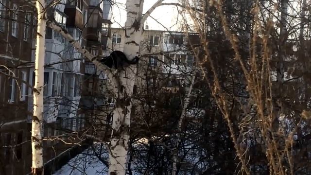 СПАСЕНИЕ КОТА/СУПЕР НОВИНКИ FIX PRICE/УЧИМСЯ ЧИТАТЬ смотреть онлайн