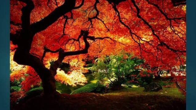 Снятия проклятия, арабская методика смотреть онлайн