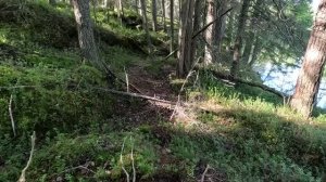 За грибами в Карелии, Беломорский район, часть 1