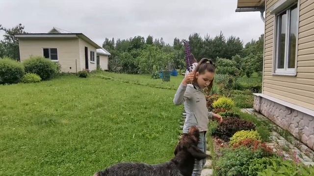 Посмотри на красоту/Природа /ДАЧНЫЙ Влог