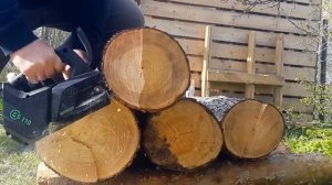 Тест GreenWorks 2003807 GD40TCS 40V (25 см)