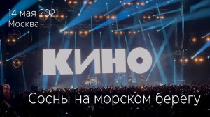 Группа КИНО. Сосны на морском берегу. 14.05.2021 Москва, ЦСКА Арена.