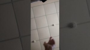 Феодосия ФССП беспредел Пристава  Исаева В