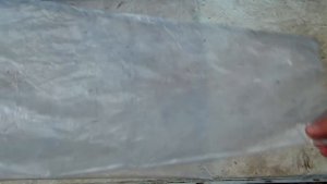 Выращивание грибов в домашних условиях / Как сделать грибной блок