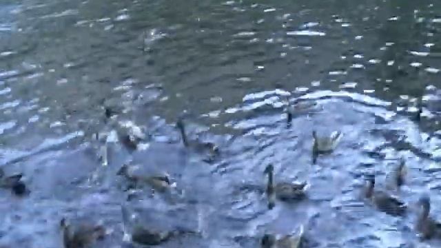 Ещё одни жители Пскова смотреть онлайн