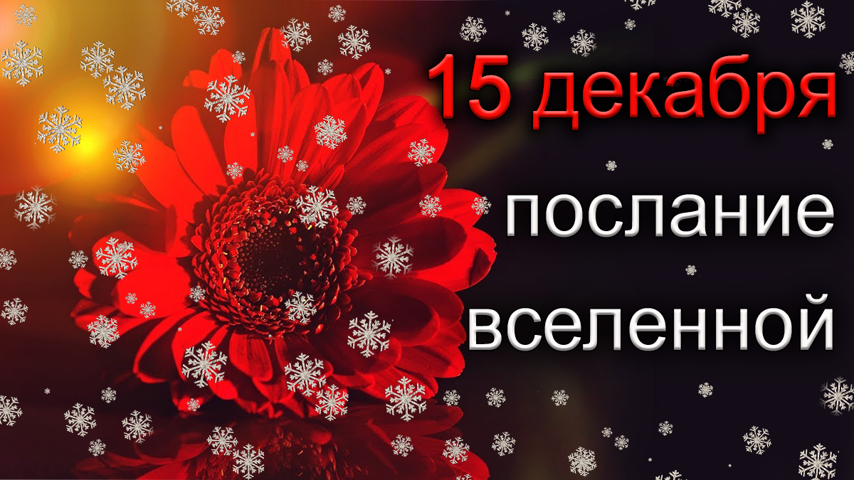 ПОСЛАНИЕ ВСЕЛЕННОЙ на 15 декабря.