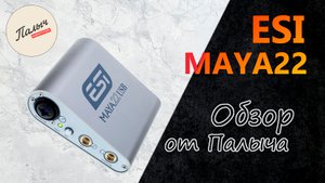 ESI MAYA22 USB - АУДИОИНТЕРФЕЙС USB 2×2 (АНАЛОГ) || Обзор от Палыча