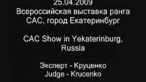 25.04.2009 Всероссийская выставка колли ранга САС, город Ека