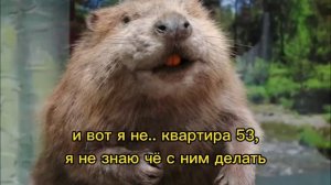 мужчина в образе бобра