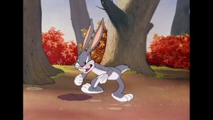 Looney Tunes Bugs Bunny Hunt