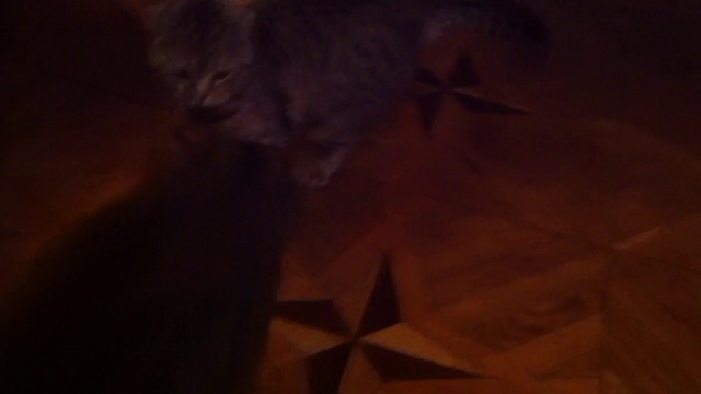 Мусик говорит смотреть онлайн