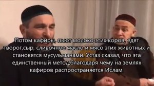 Суфистский призыв. (Или как кафиры благодаря поту мюридов становятся мусульманами.)