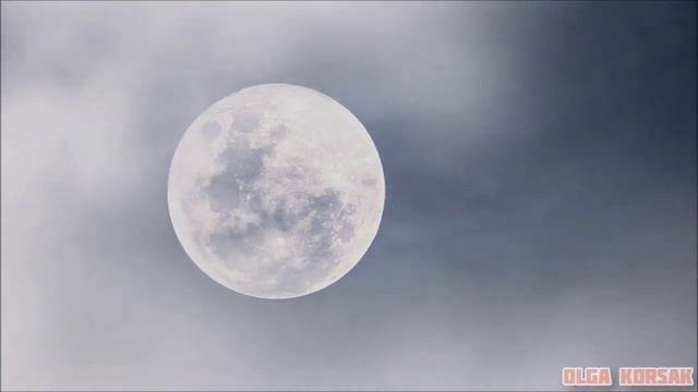 Фамильяры, фетчи, тотем.