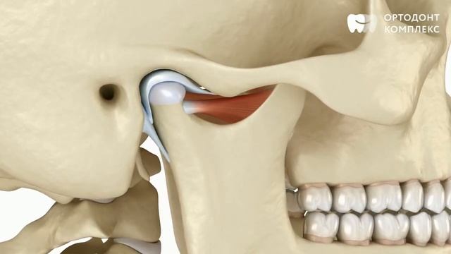Височно нижнечелюстной сустав смотреть онлайн