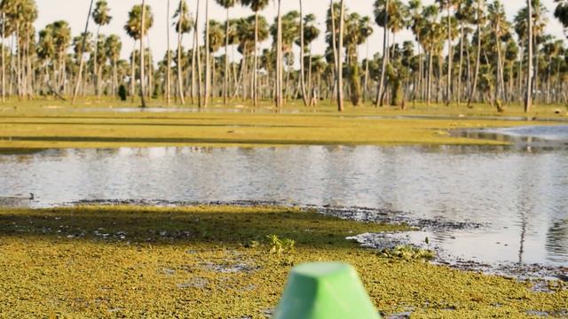 🚣🌴NO VAYAS AL BAÑADO LA ESTRELLA – Sin antes ver este video - Buscando Fauna🌴 🚣 смотреть онлайн