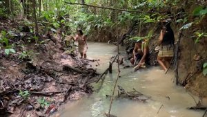 Fishing with Barbasco in Amazon