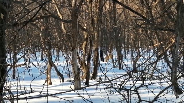 VID_20240322_164756.mp4 смотреть онлайн