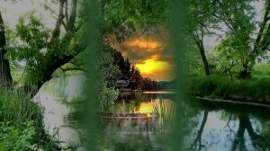 Флейта, Птицы, Река Одинокая Флейта