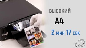 МФУ Epson Expression Photo XP 760 - фотографический 6-цветный аппарат