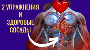 Омолоди сосуды и сердце за 1 минуту в день без лекарств!.mp4