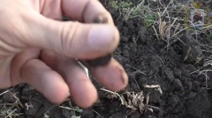 Китайский металлодетектор Quest Q 40 -  барахло или "право имеет"???