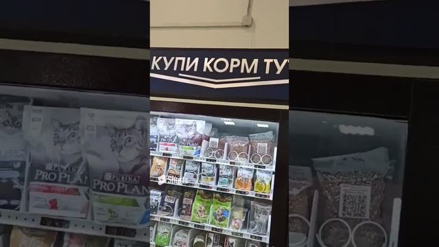 кошачья еда в автоматах_ #еда #кошка #корм