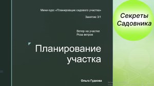 3.1. Ветер на участке
