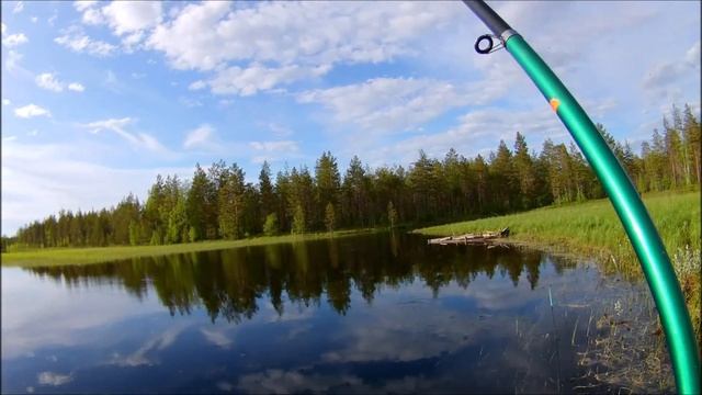 Таежная повесть (часть первая)