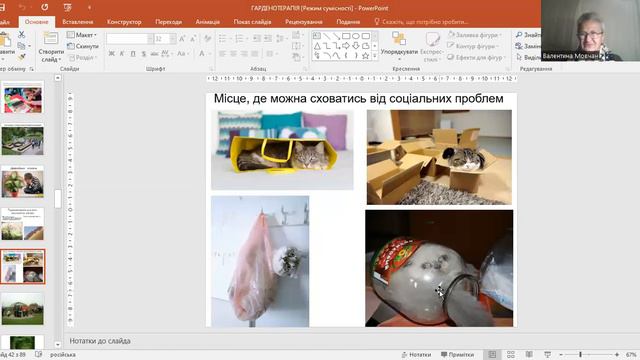 ГАРДЕНОТЕРАПІЯ КБХТТ смотреть онлайн