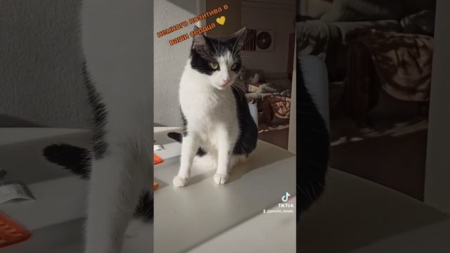 Немного позитива ☺