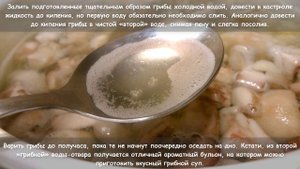 Маринованные лесные грибы